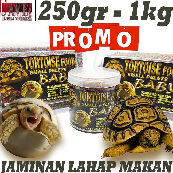 MAKANAN PAKAN BABY BAYI KURA KURA TORTOISE PELET TORTO SULCATA ALDABRA