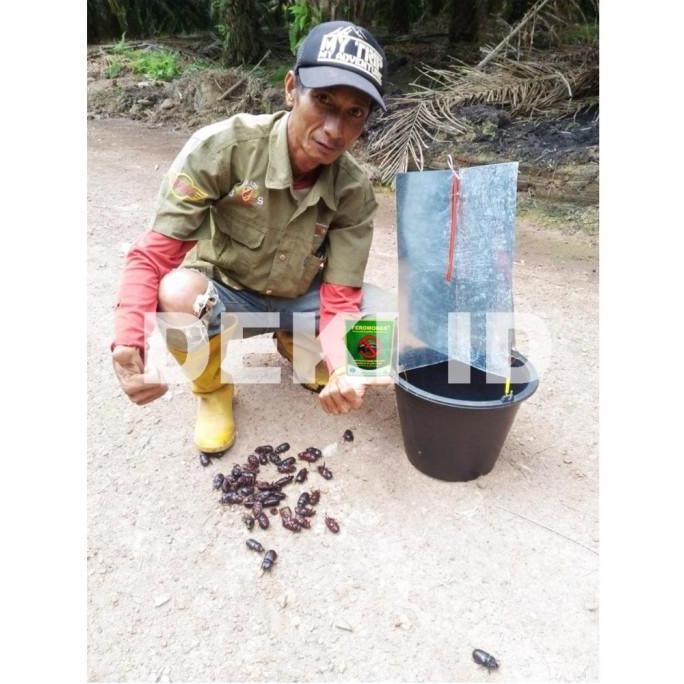 Happy- Feromonas Feromon Pengendali Hama Kumbang Tanduk Kelapa Sawit