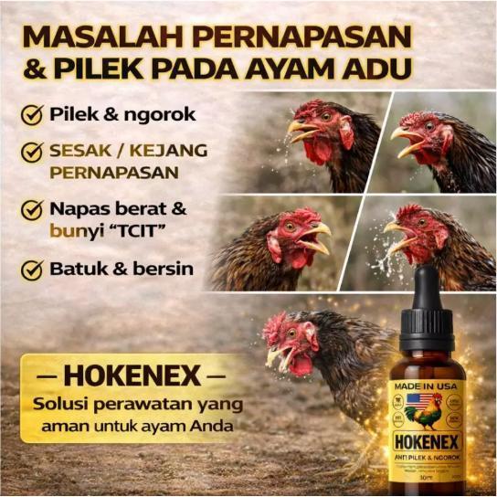 Bisa Cod - [Beli 3 Gratis 1] Hokenex Usa 30Ml - Pengobatan Septikemia, Batuk, Jamur Telinga Dan Hidu