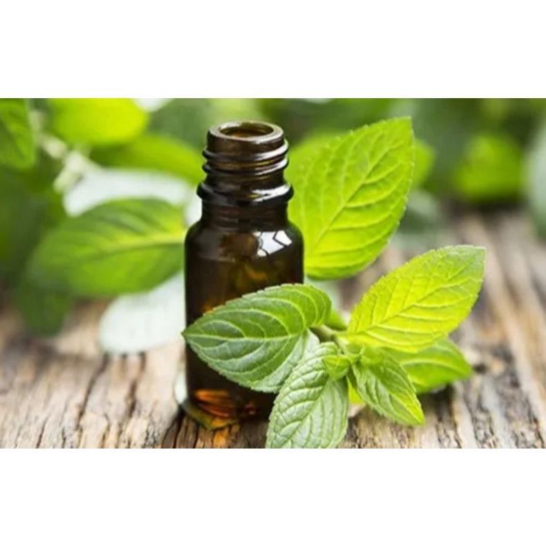 SPEARMINT OIL 100% PURE ESSENTIAL OIL 250ML,500ML,1000ML essential oil
