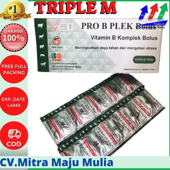 PRO B PLEK Bolus / VITAMIN B KOMPLEK 5 BOLUS