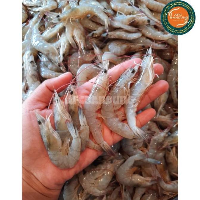 Cibo- Udang Size 200 Peci Kecil Fresh 500Gr Udang Jebung Vanami Kecil Segar