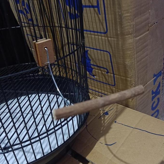 Tangkringan Burung Kecil - Tangkringan Kolibri Allshop