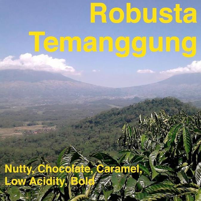 Kopi Robusta Temanggung 1 kg