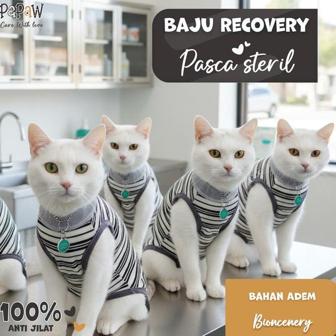 bayuazkana77 - baju steril kucing anjing betina jantan untuk recovery pasca operasi