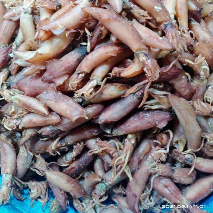 Cumi Tawar Besar Kering Khas Medan Alami