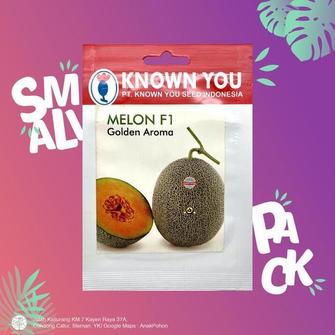 ready (1 PACK) Benih Melon Golden Aroma Hibrida F1 Oranye Seeds - KYS murah