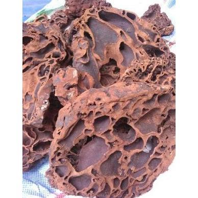 SARANG SEMUT 100% ASLI PAPUA / teh celup sarang semut asli papua