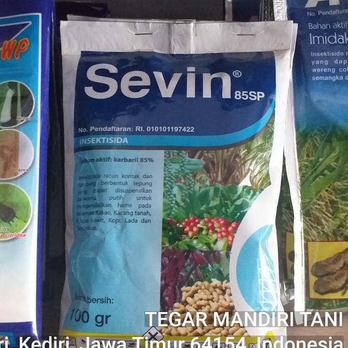 RACUN SEMUT DAN SERANGGA SEVIN