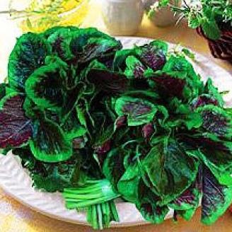 Benih / Bibit / Biji - Bayam Belang (Tiger Spinach) - IMPORT murah