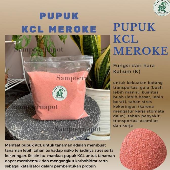 Okebro- Noni- Pupuk Kcl Meroke Mop Kemasan Repack 1 Kg - Kcl Meroke Mop Repack