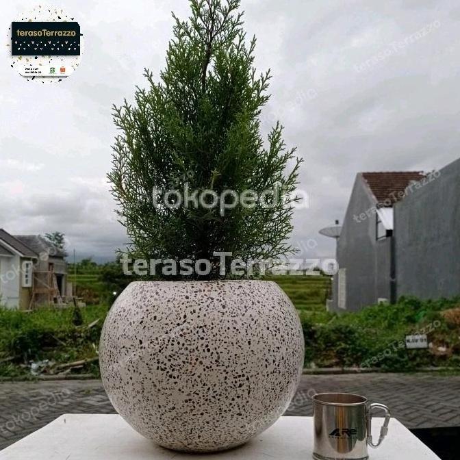 Teraso Terrazzo Model Bola Pot Tanaman Teraso Terrazzo Kecil Diameter Dalam 18cm Luar 25cm Besar 25c