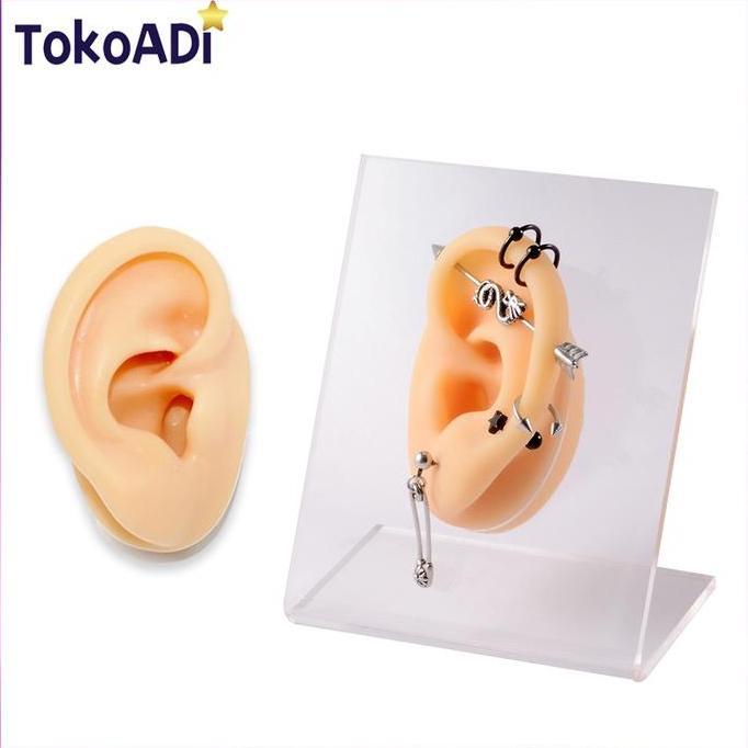 MONTMERY Alat Tindik Latihan Profesional Anting Giwang / Alat Bantu Mengajar Model Telinga Manusia P