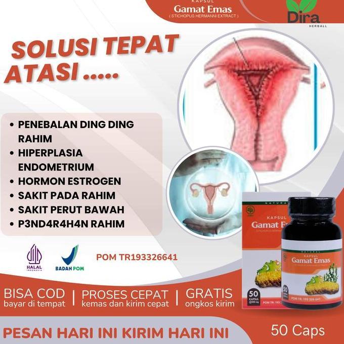 Kapsul Gamat Emas Herbal Mengatasi Penebalan Dinding Rahim, Hiperplasia Endometrium, Hormon Estrogen