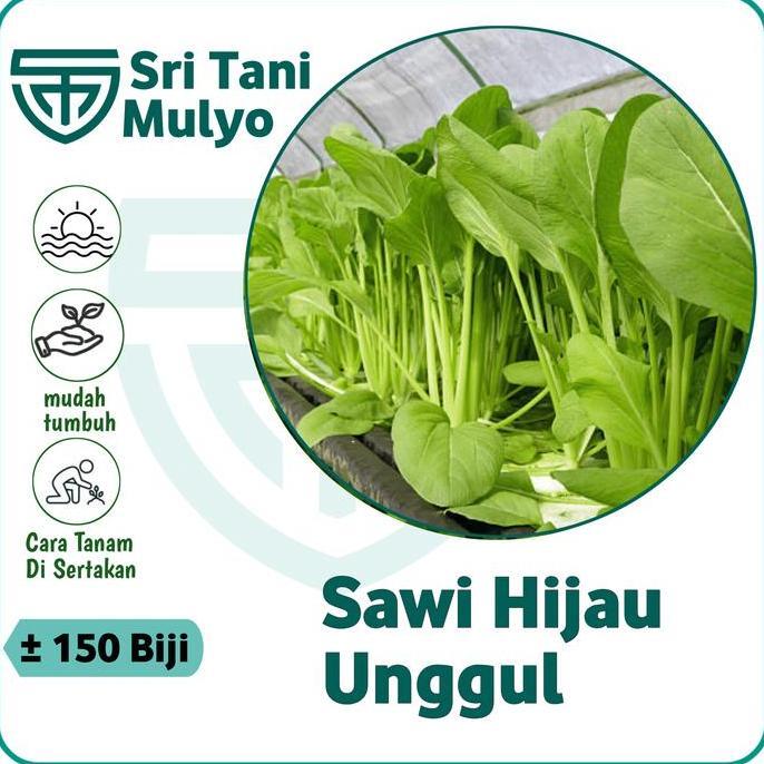 150 Biji - Benih Sawi Hijau Unggul - Bibit Sawi Manis Benih Sayuran Bibit Sayuran Seribuan Allshop
