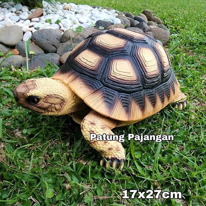 patung kura kura sulcata pajangan kura2 tortoise africa besar