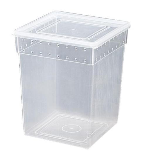 Arboreal Large Breeding Box Kotak Reptil 20X20X25Cm Tarantula Insect Iguana Al