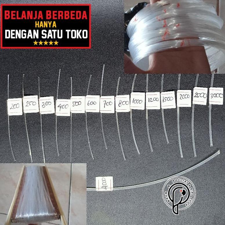 PRIMEVASTORE SENAR LAYANGAN GAPANGAN 200 - 3000 CAP IKAN ARWANA / KAKAP MURAH
