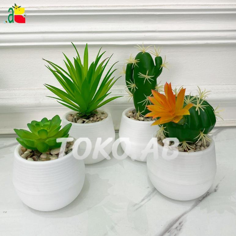 hot deals rangkaian kaktus sukulen mini pot bulat tanaman artificial hiasan meja rumah kantor cafe k