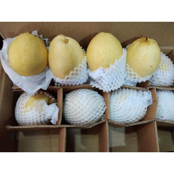 BUAH PIR MADU / SWEET PEAR FRESH 1KG