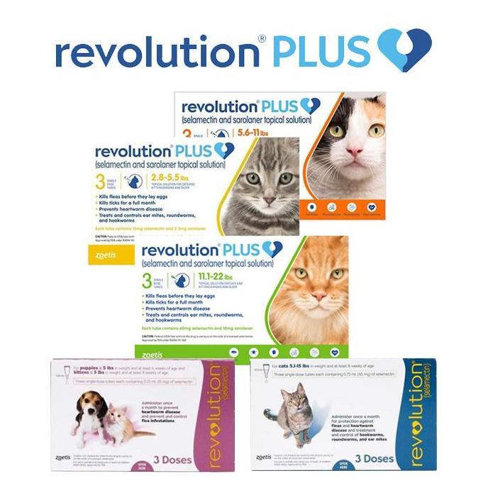 Obat Kutu Tetes Revolution Cat Plus Obat Kutu Kucing