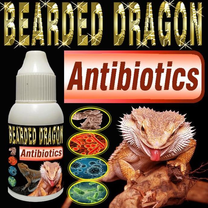 BEARDED DRAGON ANTIBIOTICS SUPLEMEN REPTILE ANTIBIOTIK MULTIVITAMIN KESEHATAN OBAT VITAMIN BD DUNNER