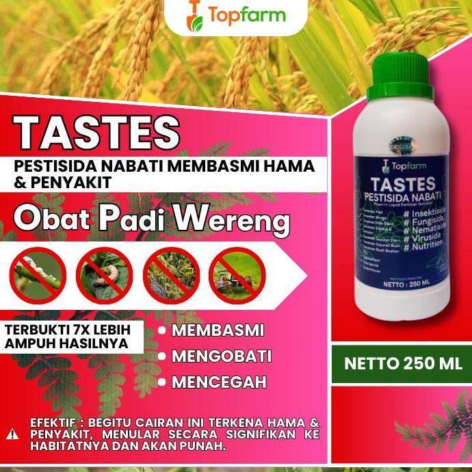 Dreamlict- Pestisida Wereng Tanaman Padi / Pestisida Anti Hama Wereng Padi / Pestisida Pembasmi Were