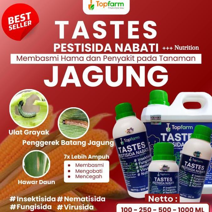 Dreamlict- Pestisida Untuk Pohon Jagung / Pestisida Khusus Tanaman Jagung / Pestisida Buah Jagung / 