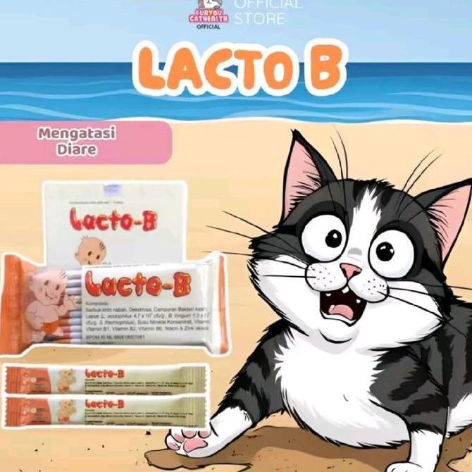 Lacto B Kucing