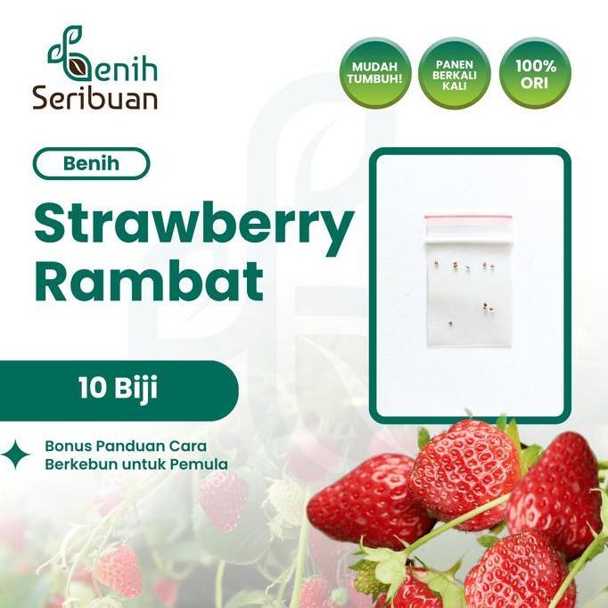 10 Benih Strawberry Rambat Import Benih Buah Stroberi Manis Unggul