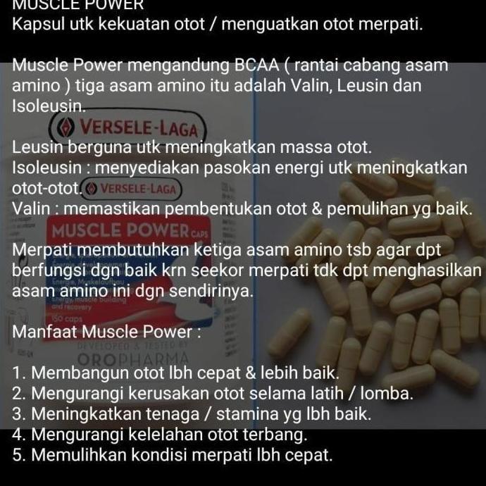 VERSELE LAGA MUSCLE POWER CAPSUL UTK MERPATI BALAP VITAMIN OTOT BURUNG