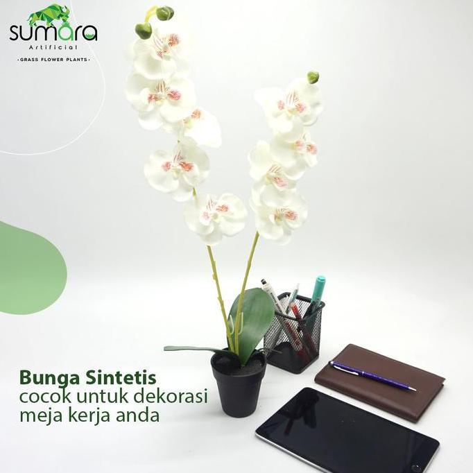 Bunga Anggrek Putih Plastik + Pot Cantik
