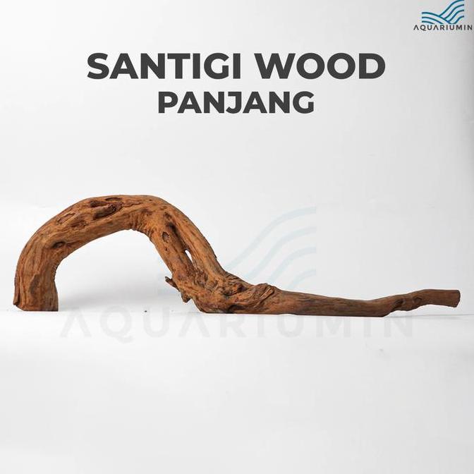 Kayu Santigi Gunung / Santigi Wood Aquascape Aquarium