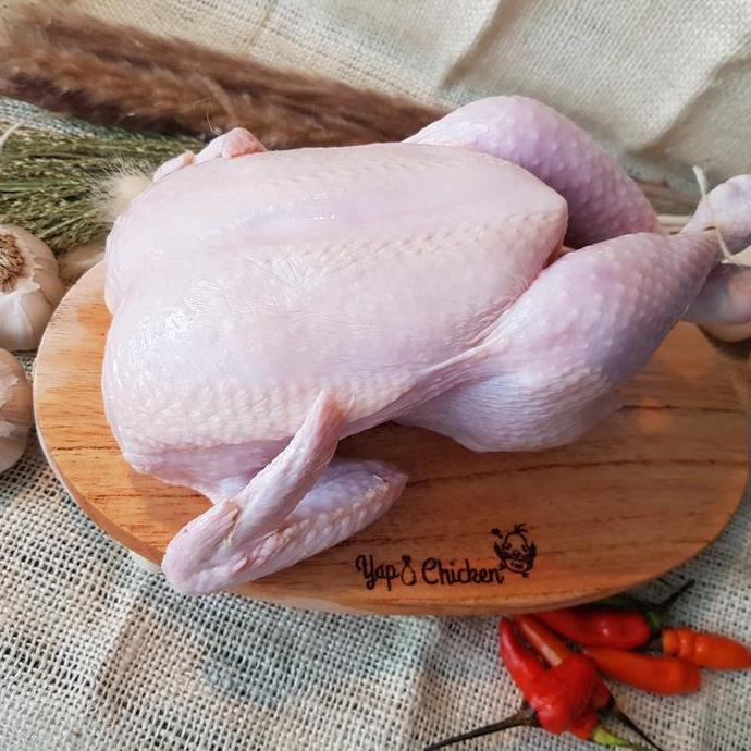 Nyumi- Ayam Karkas Frozen 600Gr - 700Gr