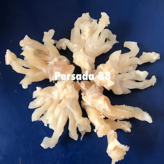 Nyumi- Urat/Otok Kaki Sapi @ 500 Gram Sudah Direbus 1/2 Matang