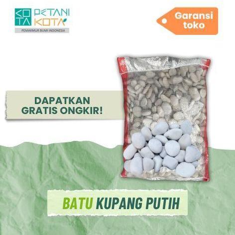Batu Putih Sebesar Koin 500an Karungan +- 11 kilo Alqshop