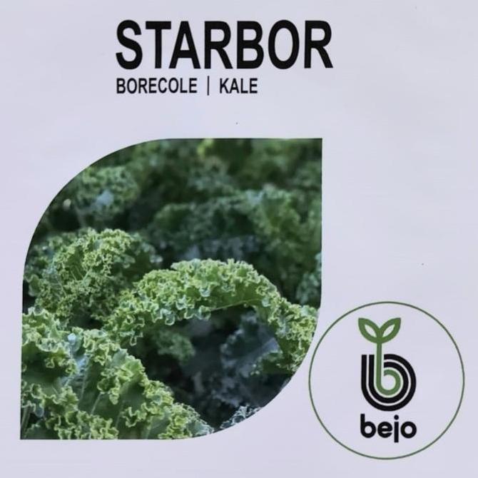 Kale Curly Starbor 2500 Seeds | Bejo Seed | Bibit Hidroponik