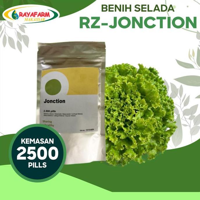 BENIH SELADA JUNCTION 2500 PILL - RZ