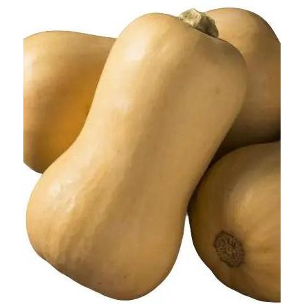 Newnature- Labu Butternut Squash/ Pumpkin Butternut/ Labu Madu Per Buah 0.5-1.3Kg