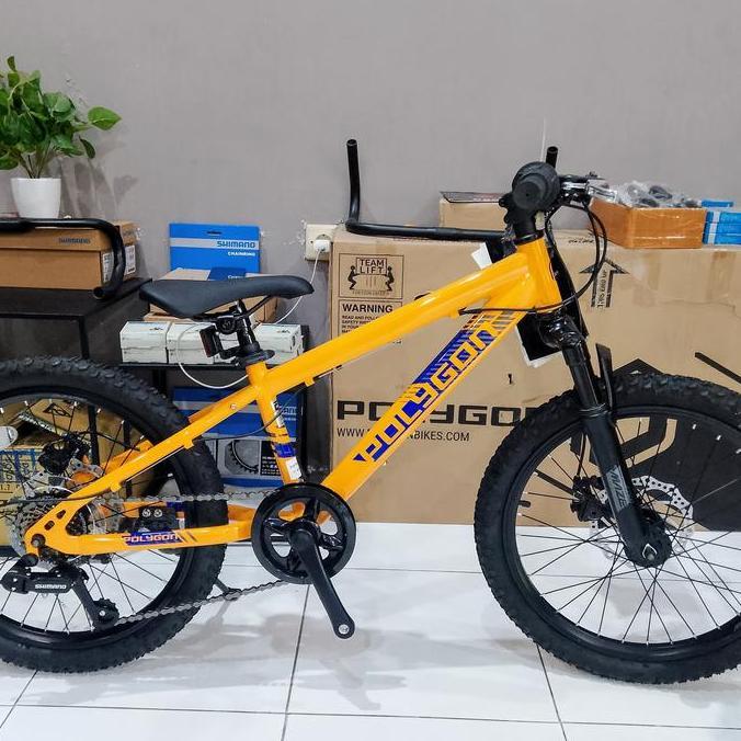 Terlaris Sepeda Mtb Junior Polygon Maze 20" Baru