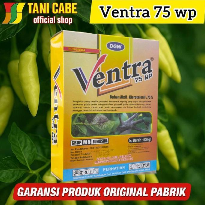 fungisida ventra 500 GRM klorotalonil dgw