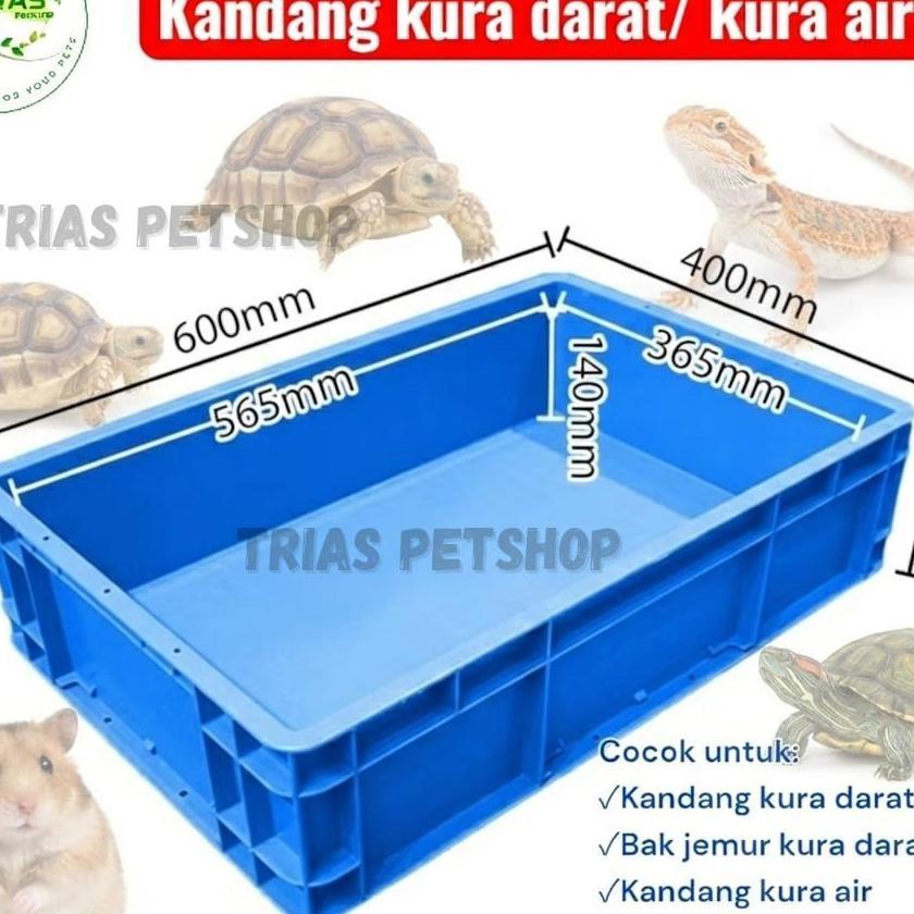 Kandang Kura Darat Box Plastik Tebal Cocok Untuk Sulcata Baby & Reptil Kecil-Kandang Reptil Serbagun