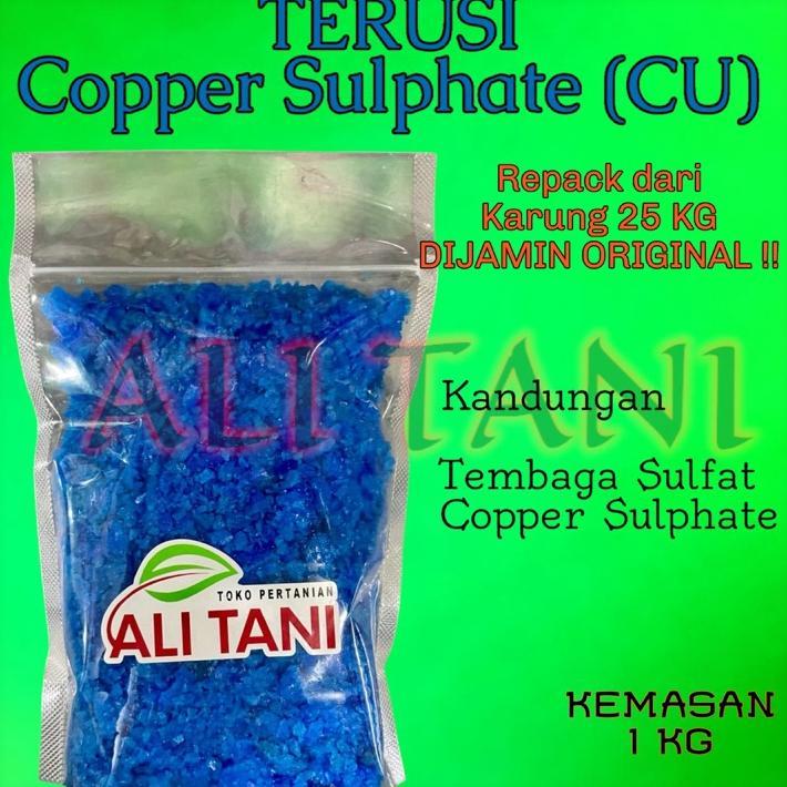 (Kasar) Terusi Kristal /Copper Sulphate / Cu Kemasan Re Pack 1 Kg Untuk Pembiru Air Kolam Renang/Ant
