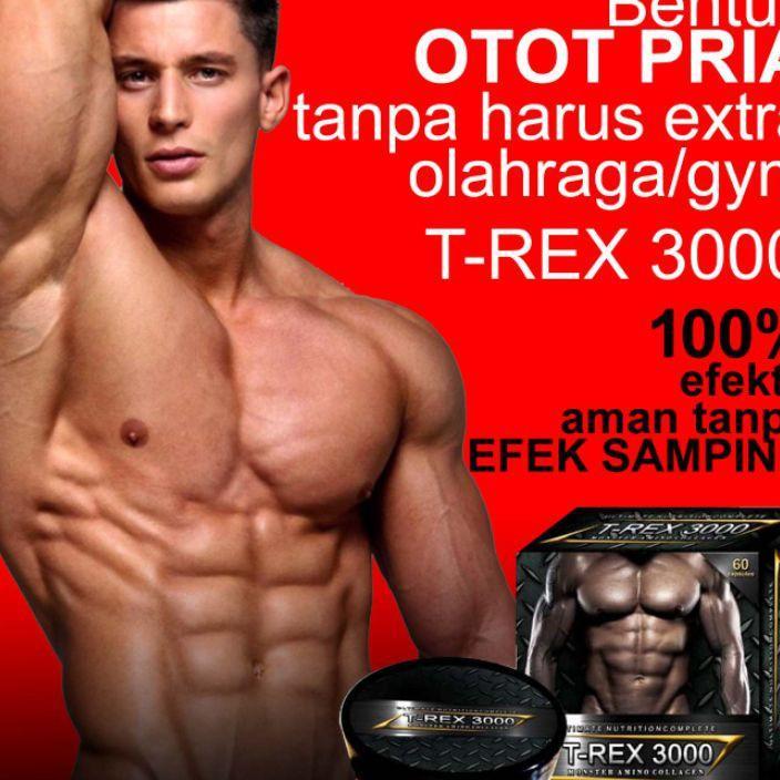 Trex Suplemen Pembentuk Otot Tubuh Cepat
