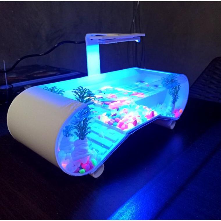 Aquarium Mini/Aquarium Kura Kura Brazil