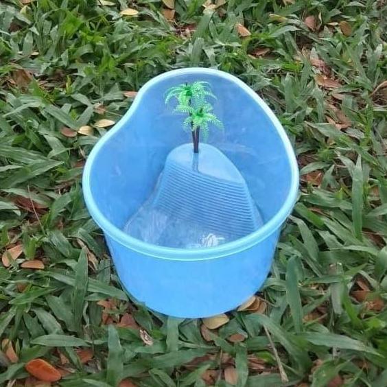 TURTLE TANK MANGGA S 20X15X10CM VIVARIUM AQUARIUM KURA BRAZIL NX-12