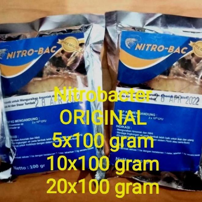 NITROBACTER PROBIOTIK BAKTERI NITRIFIKASI UNTUK KOLAM KOI DAN TAMBAK