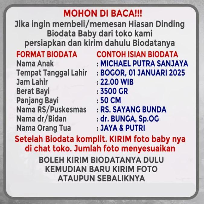 Hiasan dinding biodata bayi - biodata bayi cowo - biodata bayi cewe tema flamingo - kayu mdf