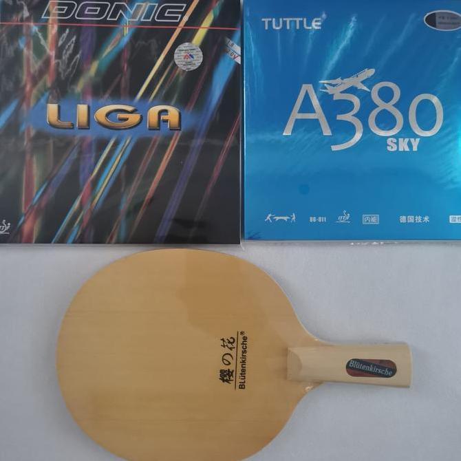 Bat tenis meja pen holder B 2015 Full Hinoki plus karet serang Set