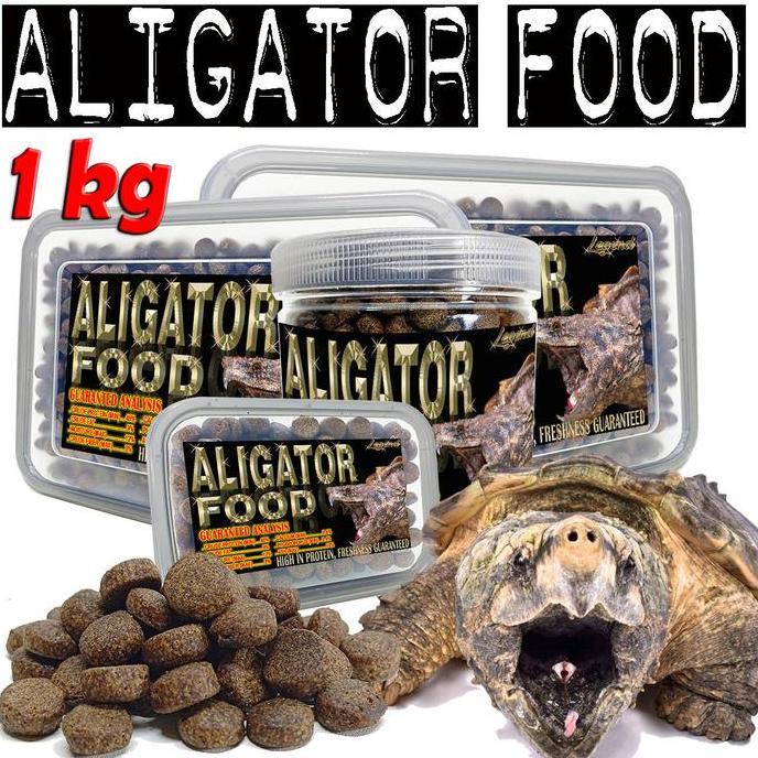 NEW ALIGATOR FOOD PAKAN PELET KURA AIR CST COMMON SNAPPING TURTLE REPTILE